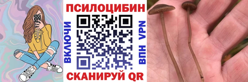 Галлюциногенные грибы прущие грибы  Киржач 