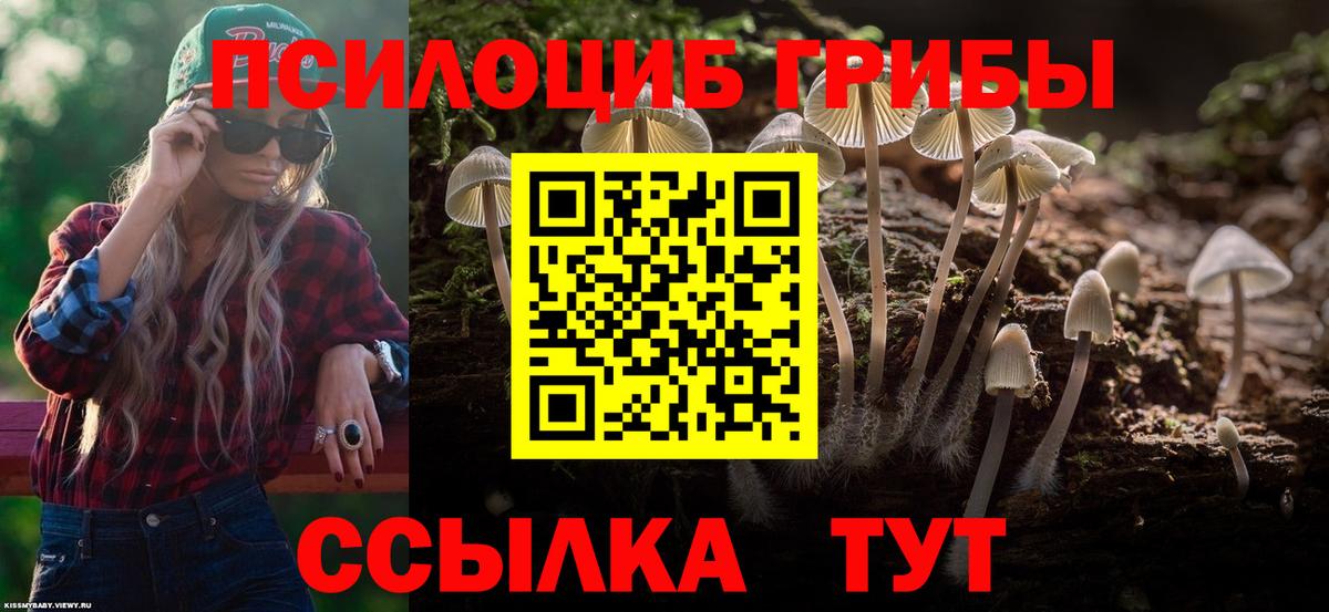 Псилоцибиновые грибы мухоморы Киржач