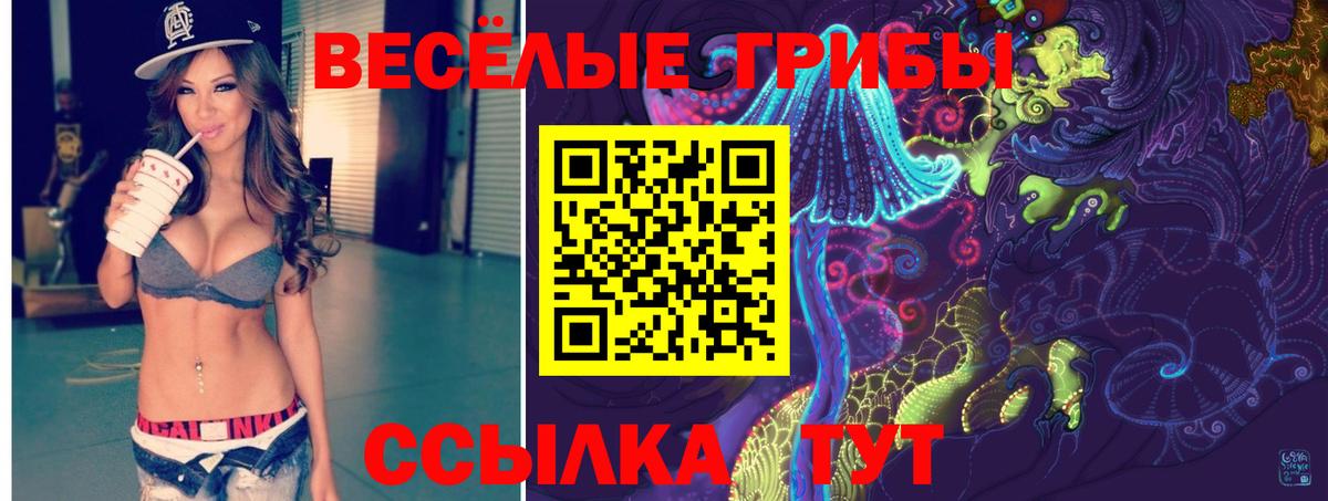 Киржач  Галлюциногенные грибы мицелий  Вход с VPN 